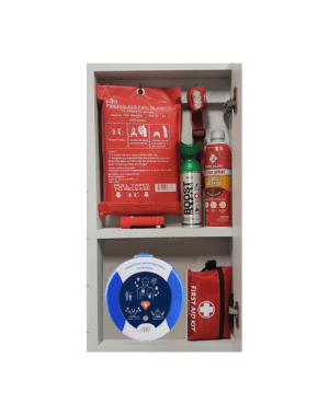 EAC27M SAFETY CABINET - Premier Storage Systems (Iron - A - Way and Emerg - A - Center)